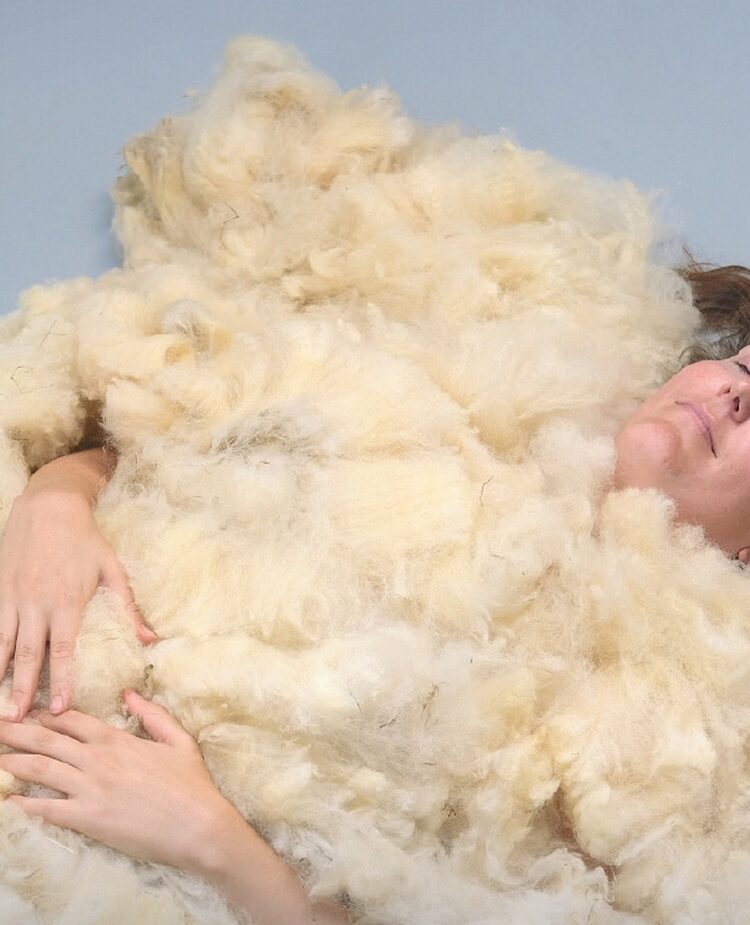 Muziektheater ‘Sneeuwjagen’