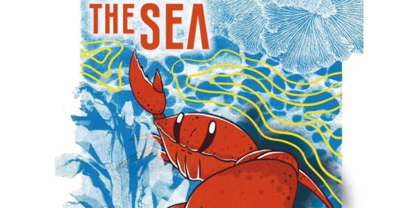 Per 15 augustus: Programma en kaartverkoop Film by the Sea 1