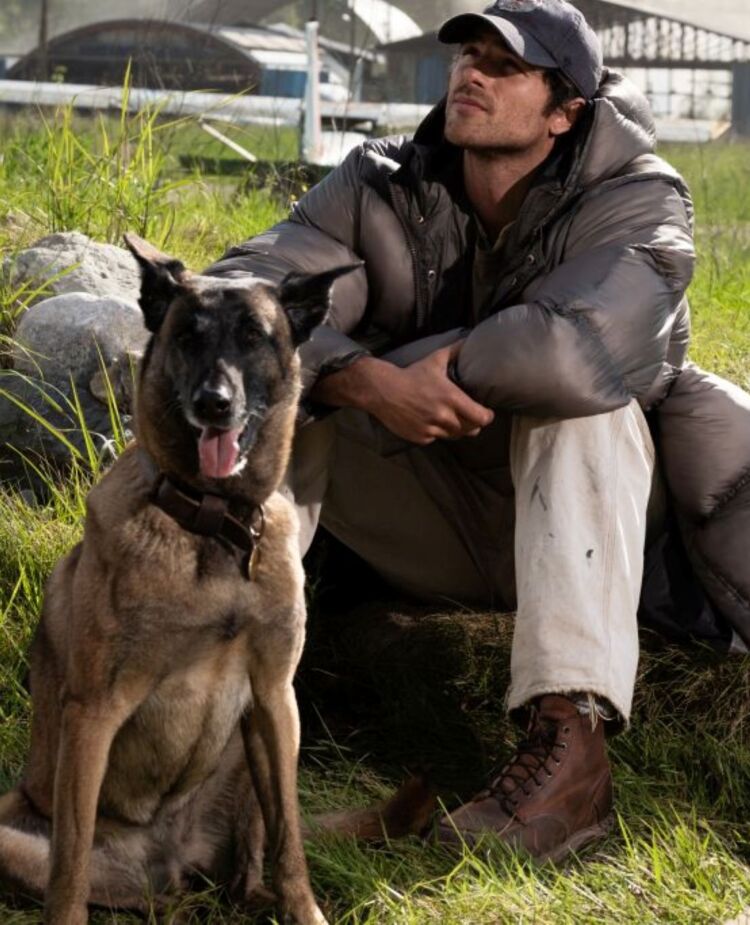 The Dog Stars